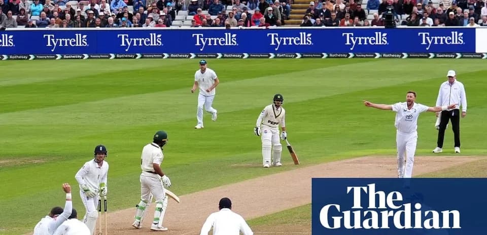 Joueurs de cricket en action sur le terrain