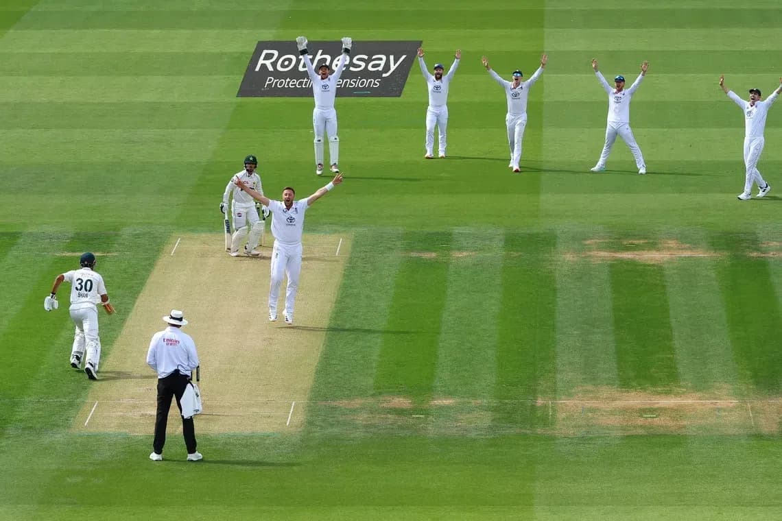 Joueurs célébrant une prise lors d'un match de cricket