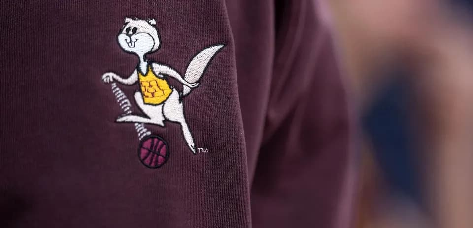 Mascotte en peluche avec un ballon de basket