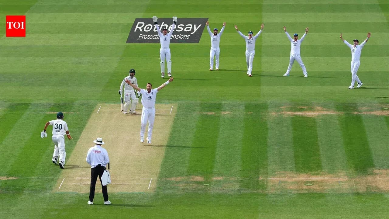 Équipe célébrant un wicket lors d'un match de cricket