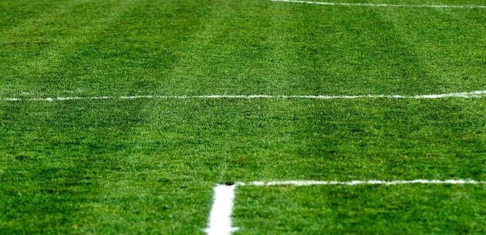 Terrain de football avec marquages blancs visibles