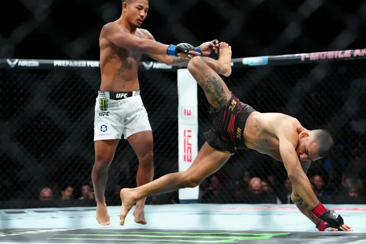 Lutteurs en action lors d'un combat de MMA