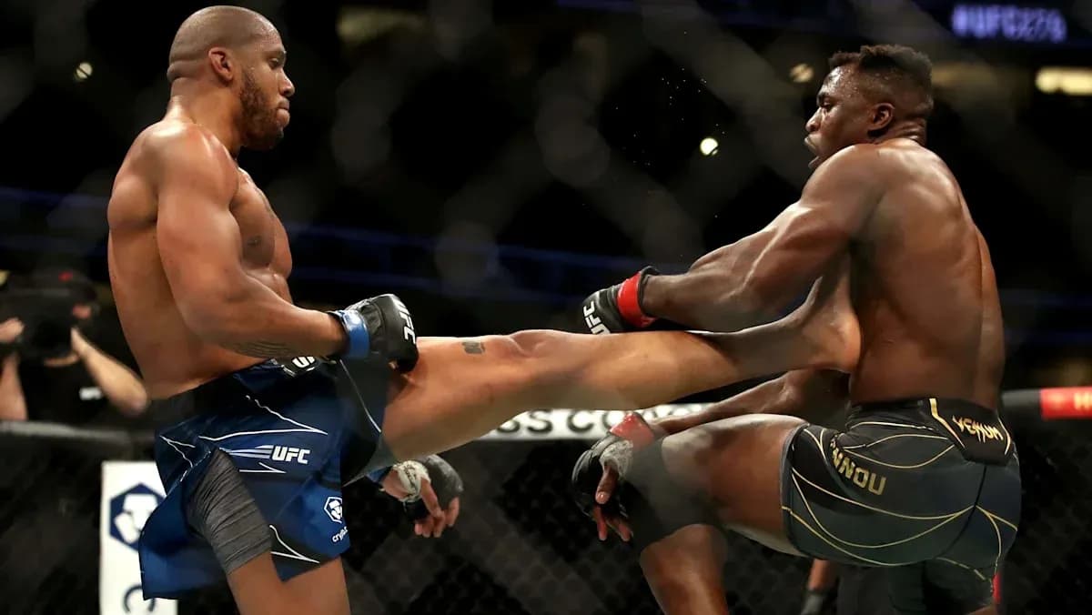 Deux combattants s'affrontant dans l'octogone UFC
