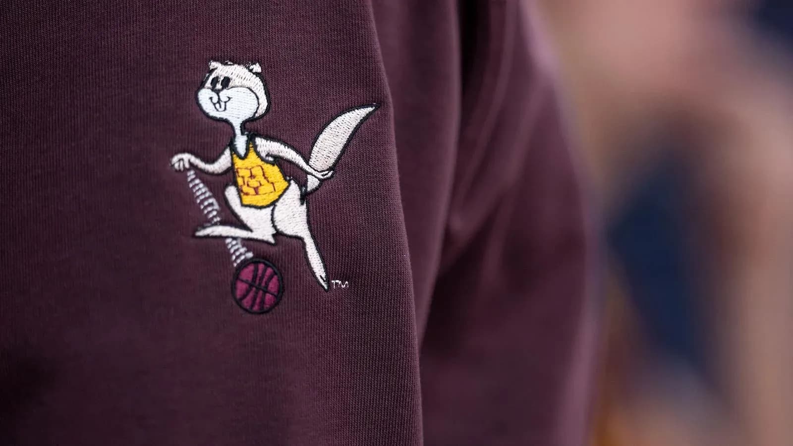 Mascotte en peluche avec un ballon de basket Mascotte en peluche avec un ballon de basket