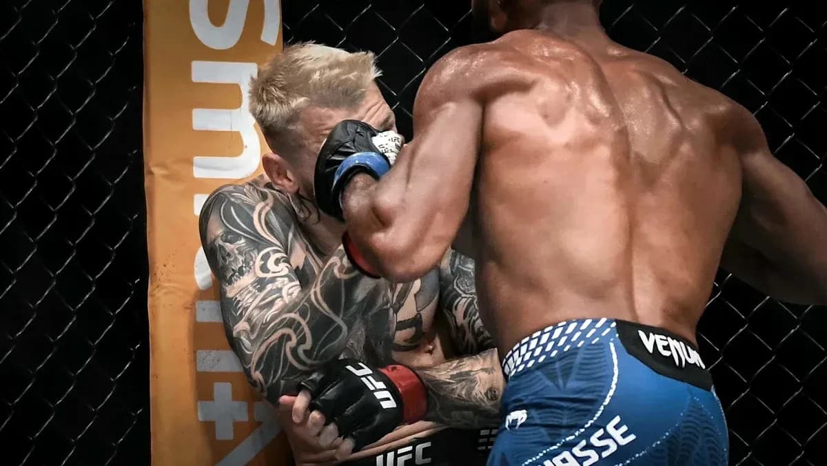 Deux combattants s'affrontant dans l'octogone UFC Deux combattants s'affrontant dans l'octogone UFC